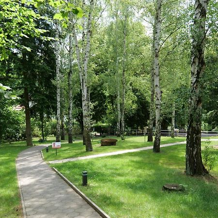 Penzion Harmony Javornik Ctyrkoly Exteriör bild